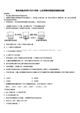 青岛市重点中学2025年高一上化学期中质量检测模拟试题含解析