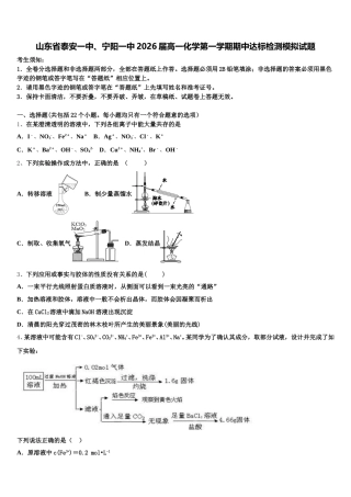 山东省泰安一中、宁阳一中2026届高一化学第一学期期中达标检测模拟试题含解析