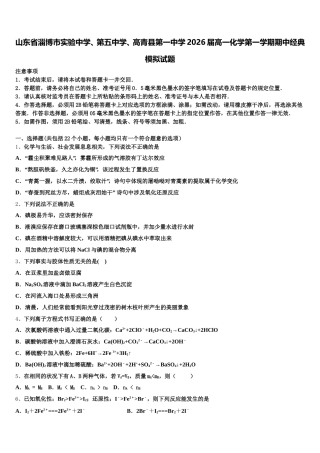 山东省淄博市实验中学、第五中学、高青县第一中学2026届高一化学第一学期期中经典模拟试题含解析