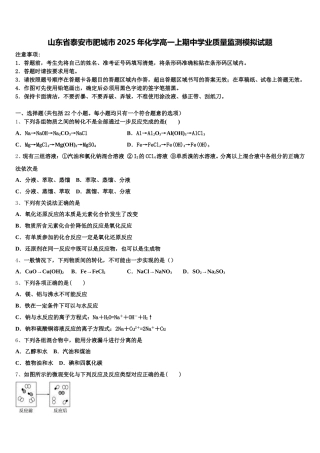 山东省泰安市肥城市2025年化学高一上期中学业质量监测模拟试题含解析