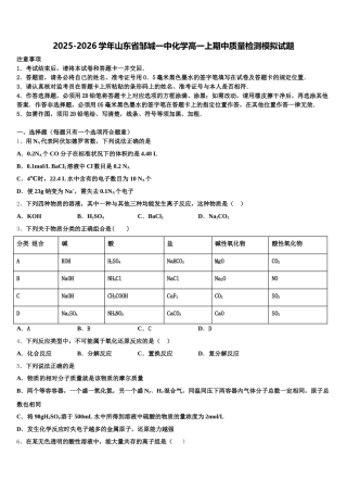 2025-2026学年山东省邹城一中化学高一上期中质量检测模拟试题含解析
