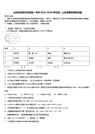 山东省日照市日照第一中学2025-2026学年高一上化学期中调研试题含解析
