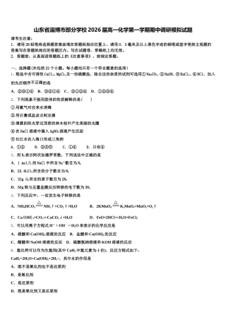 山东省淄博市部分学校2026届高一化学第一学期期中调研模拟试题含解析