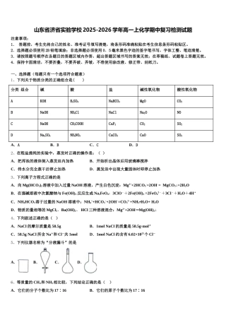 山东省济省实验学校2025-2026学年高一上化学期中复习检测试题含解析