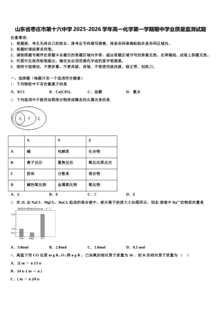 山东省枣庄市第十六中学2025-2026学年高一化学第一学期期中学业质量监测试题含解析