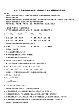 2025年山东省青岛市青岛二中高一化学第一学期期中经典试题含解析