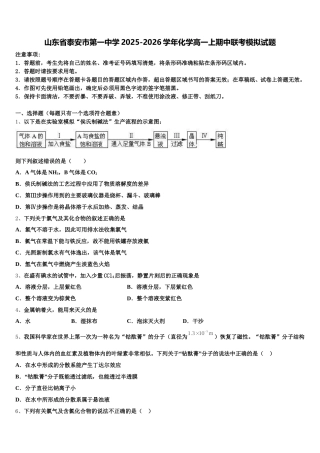 山东省泰安市第一中学2025-2026学年化学高一上期中联考模拟试题含解析