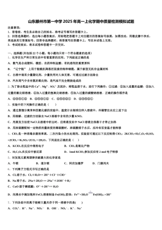 山东滕州市第一中学2025年高一上化学期中质量检测模拟试题含解析