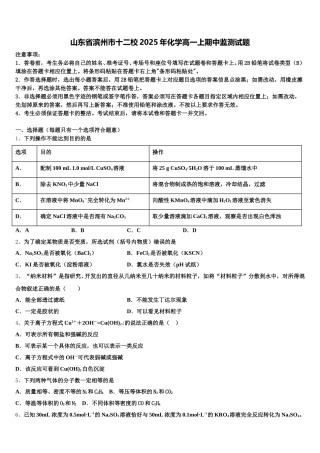 山东省滨州市十二校2025年化学高一上期中监测试题含解析