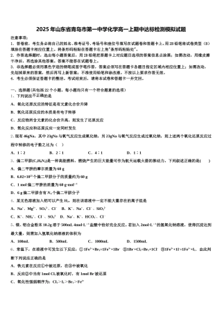 2025年山东省青岛市第一中学化学高一上期中达标检测模拟试题含解析