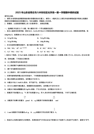 2025年山东省枣庄市八中东校区化学高一第一学期期中调研试题含解析