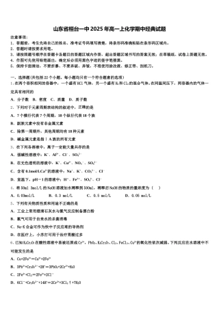 山东省桓台一中2025年高一上化学期中经典试题含解析