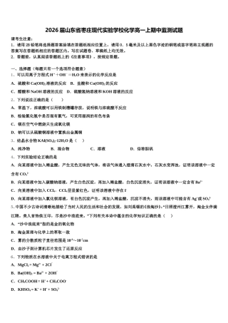 2026届山东省枣庄现代实验学校化学高一上期中监测试题含解析