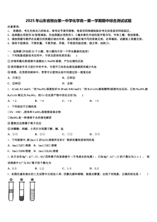 2025年山东省桓台第一中学化学高一第一学期期中综合测试试题含解析