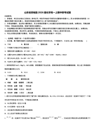 山东省郯城县2026届化学高一上期中联考试题含解析