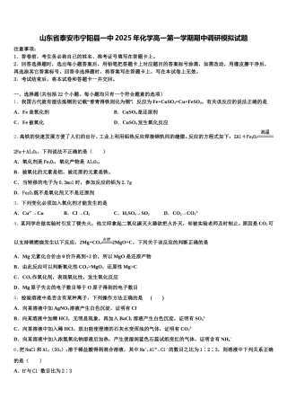 山东省泰安市宁阳县一中2025年化学高一第一学期期中调研模拟试题含解析
