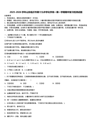 2025-2026学年山东临沂市第十九中学化学高一第一学期期中复习检测试题含解析