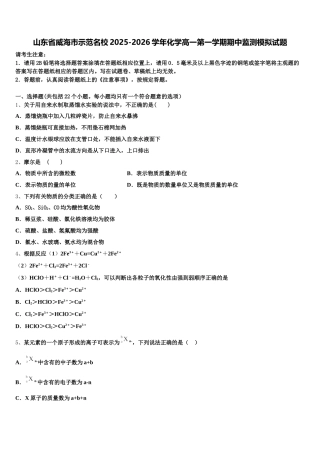 山东省威海市示范名校2025-2026学年化学高一第一学期期中监测模拟试题含解析