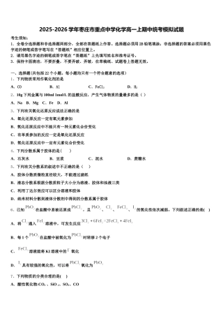 2025-2026学年枣庄市重点中学化学高一上期中统考模拟试题含解析