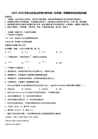 2025-2026学年山东省山东师大附中高一化学第一学期期中综合测试试题含解析