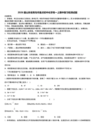 2026届山东省青岛市重点初中化学高一上期中复习检测试题含解析