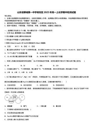 山东省聊城第一中学老校区2025年高一上化学期中检测试题含解析