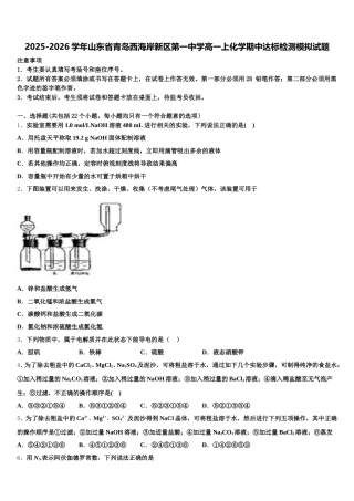 2025-2026学年山东省青岛西海岸新区第一中学高一上化学期中达标检测模拟试题含解析