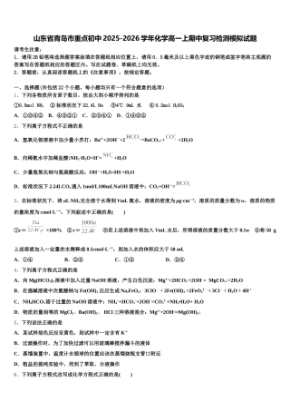 山东省青岛市重点初中2025-2026学年化学高一上期中复习检测模拟试题含解析