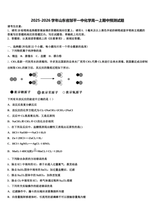 2025-2026学年山东省邹平一中化学高一上期中预测试题含解析