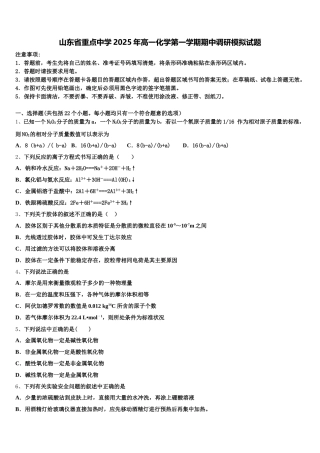 山东省重点中学2025年高一化学第一学期期中调研模拟试题含解析