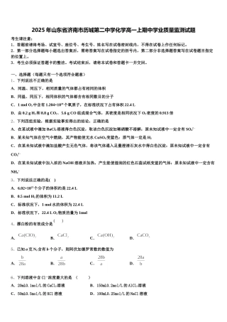 2025年山东省济南市历城第二中学化学高一上期中学业质量监测试题含解析