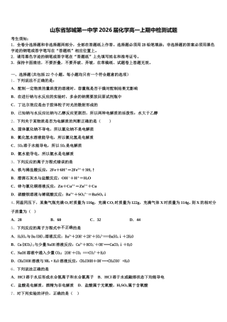 山东省邹城第一中学2026届化学高一上期中检测试题含解析