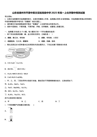 山东省德州市平原中英文实验高级中学2025年高一上化学期中预测试题含解析