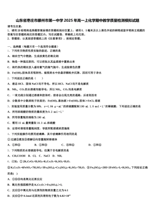 山东省枣庄市滕州市第一中学2025年高一上化学期中教学质量检测模拟试题含解析