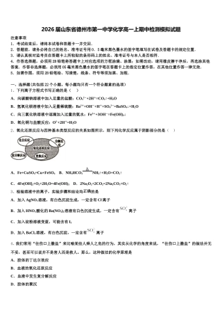 2026届山东省德州市第一中学化学高一上期中检测模拟试题含解析