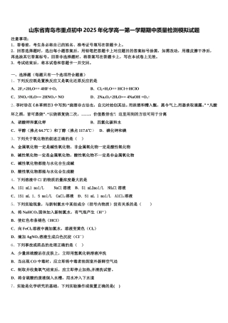 山东省青岛市重点初中2025年化学高一第一学期期中质量检测模拟试题含解析