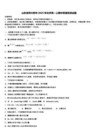 山东省师大附中2025年化学高一上期中质量检测试题含解析