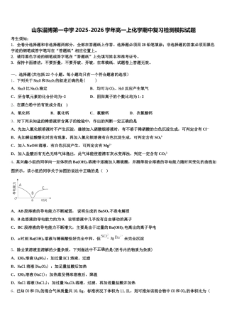 山东淄博第一中学2025-2026学年高一上化学期中复习检测模拟试题含解析