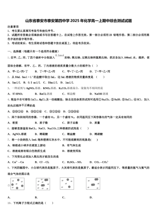 山东省泰安市泰安第四中学2025年化学高一上期中综合测试试题含解析