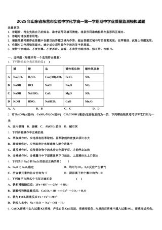 2025年山东省东营市实验中学化学高一第一学期期中学业质量监测模拟试题含解析