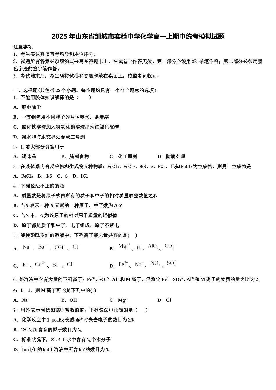 2025年山东省邹城市实验中学化学高一上期中统考模拟试题含解析_第1页
