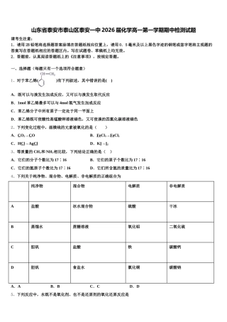 山东省泰安市泰山区泰安一中2026届化学高一第一学期期中检测试题含解析