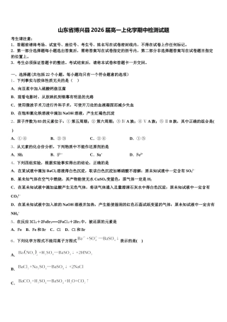 山东省博兴县2026届高一上化学期中检测试题含解析
