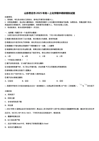 山东枣庄市2025年高一上化学期中调研模拟试题含解析
