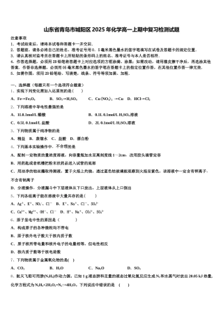 山东省青岛市城阳区2025年化学高一上期中复习检测试题含解析