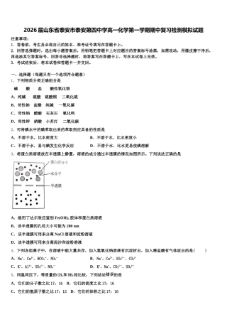 2026届山东省泰安市泰安第四中学高一化学第一学期期中复习检测模拟试题含解析