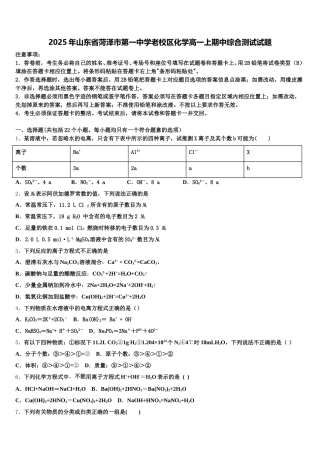 2025年山东省菏泽市第一中学老校区化学高一上期中综合测试试题含解析