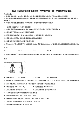 2025年山东省德州市平原县第一中学化学高一第一学期期中调研试题含解析