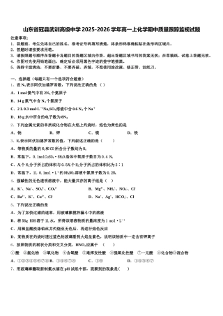 山东省冠县武训高级中学2025-2026学年高一上化学期中质量跟踪监视试题含解析