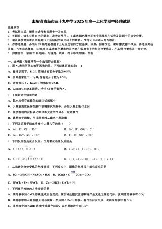 山东省青岛市三十九中学2025年高一上化学期中经典试题含解析